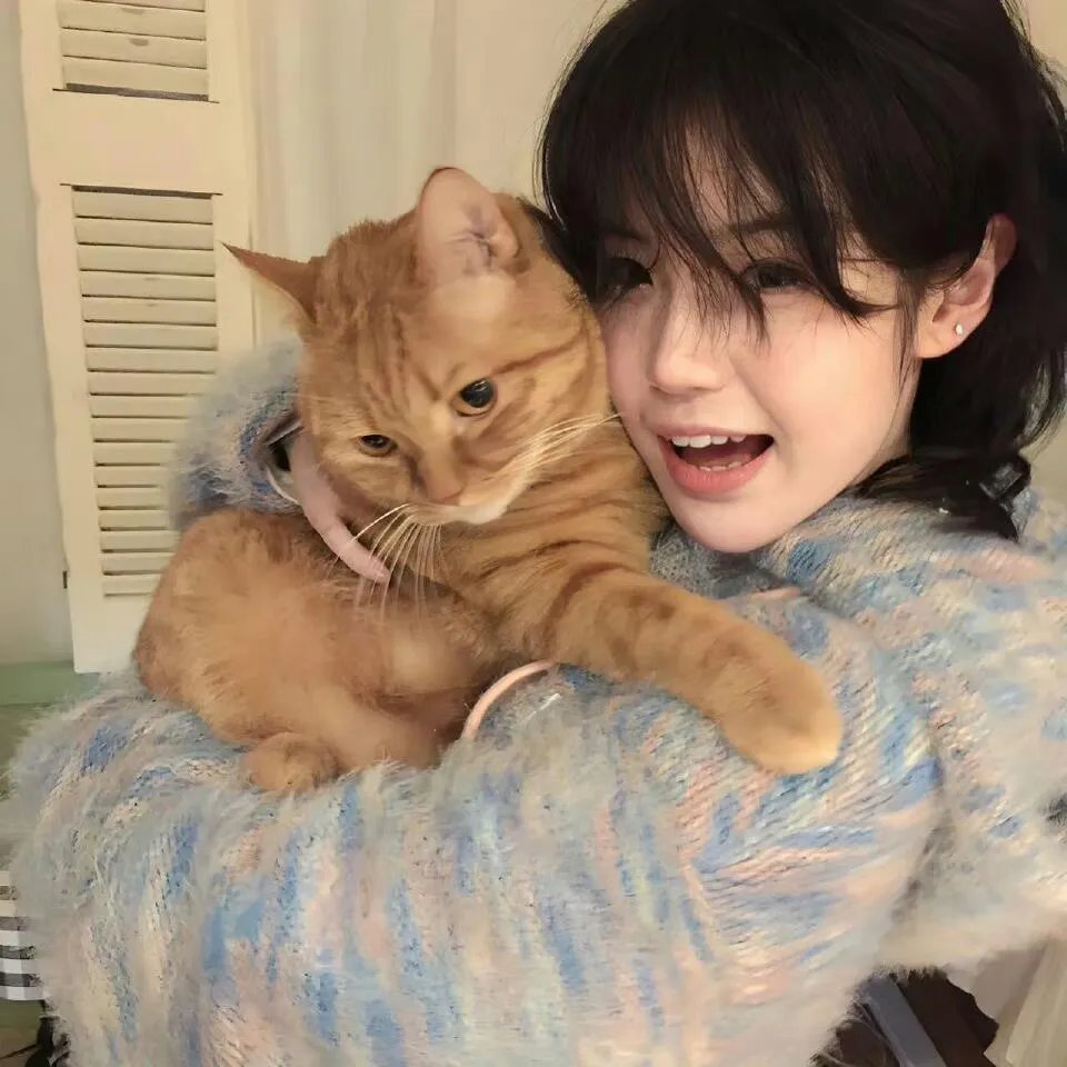 带着法宝去投胎动漫版